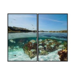 Kit Quadros Decorativos Mar Com Peixe