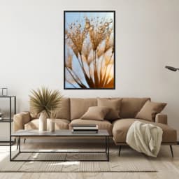 Quadro Decorativo Dente De Leão