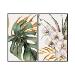 Kit Quadros Decorativos Costela De Adão