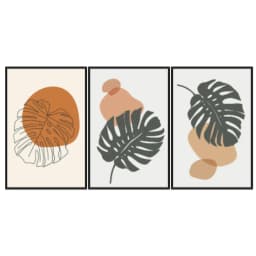 Kit Quadros Decorativos Costela De Adão