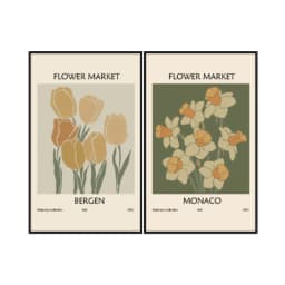 Kit Quadros Decorativos Flora Abstrata