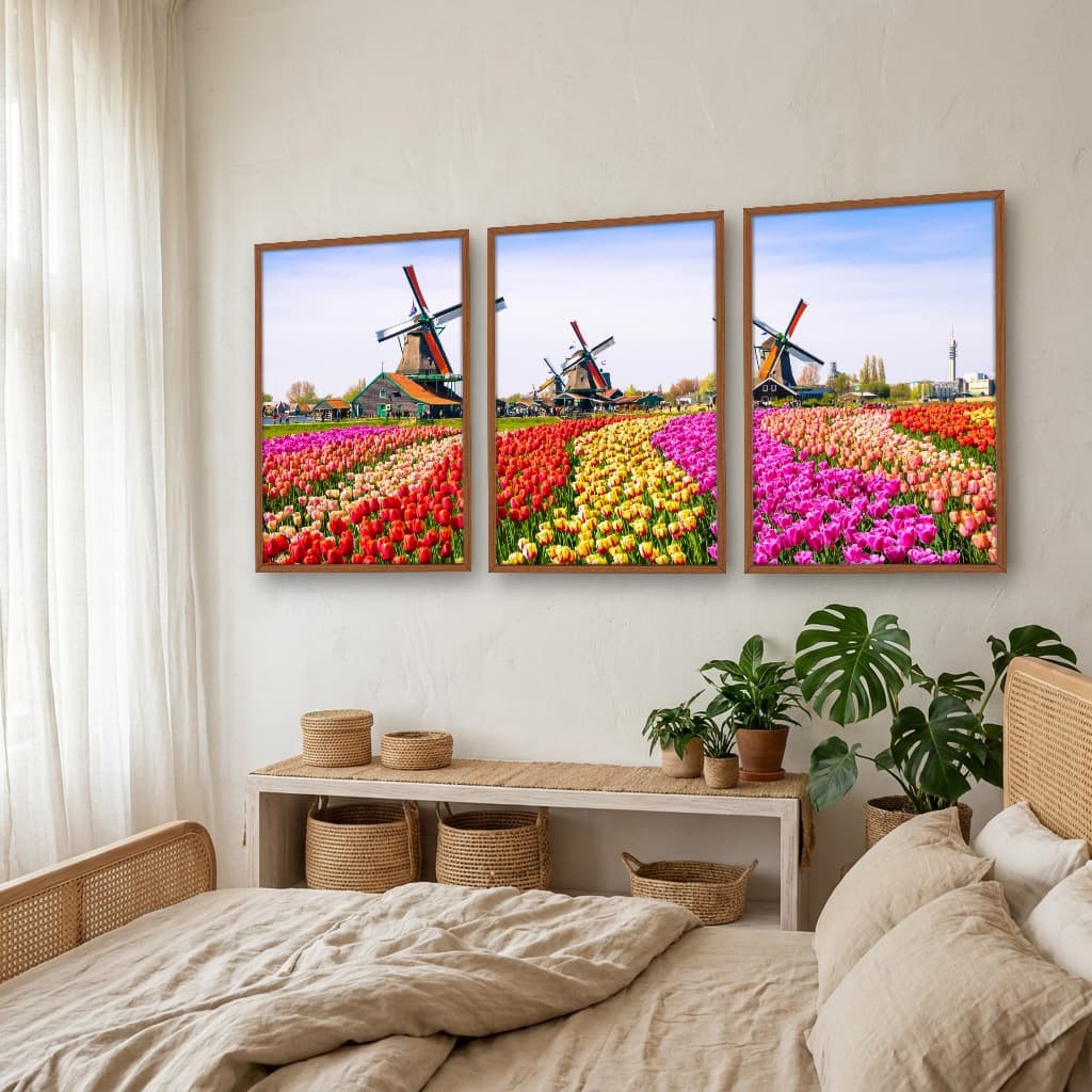 Kit Quadros Decorativos Tulipas Zaanse Holanda